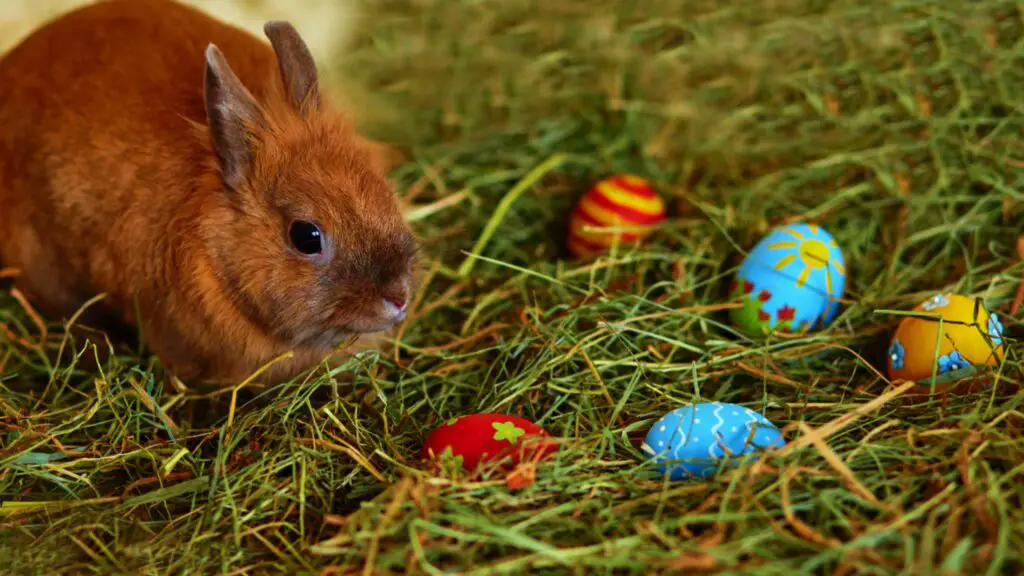 Easter Weekend in Bath: A Celebration of Spring