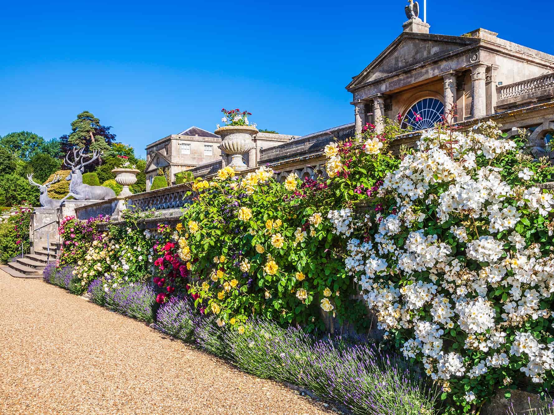 Spring Garden Tours: Bath in Bloom
